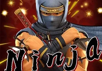 Ninja screenshot